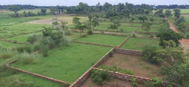 Buy the Plot at a good price in Hasnpal Bhubaneswar