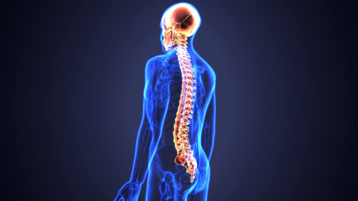 Spinal cord injury Treatment