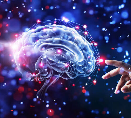 The Ultimate Guide on how to Improve Your Cognitive Performance